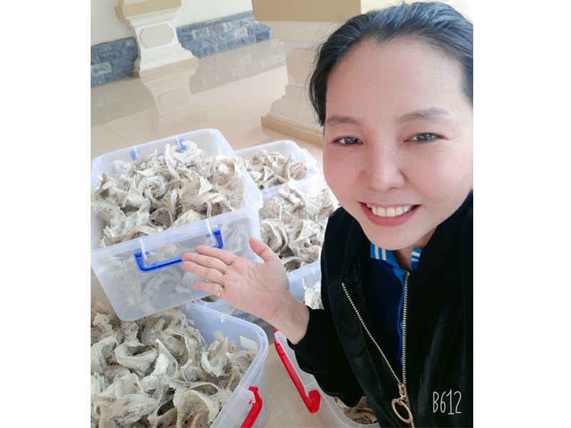Yến tinh chế