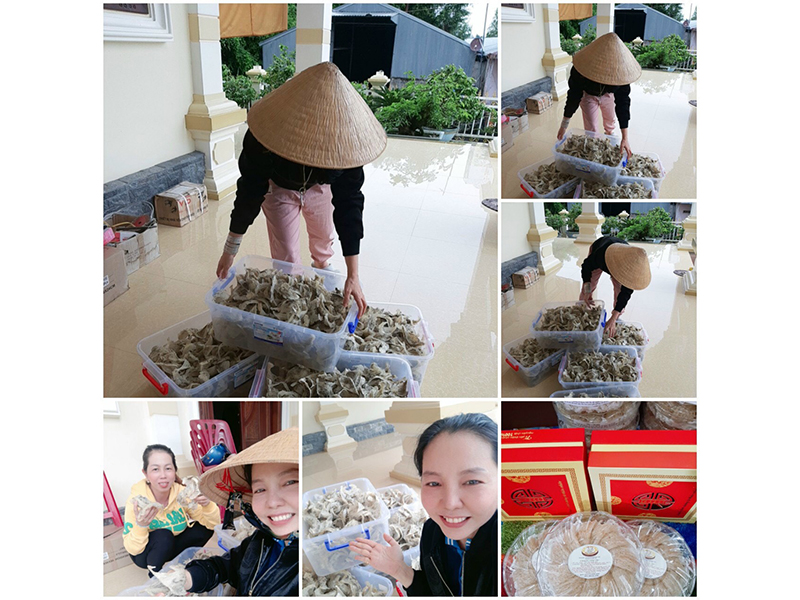 Yến tinh chế